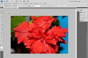 базовая обработка фото Photoshop