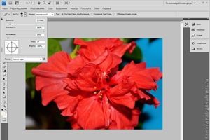 базовая обработка фото Photoshop