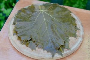 маринованные виноградные листья