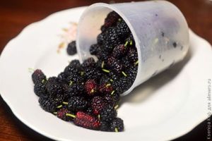 булочки