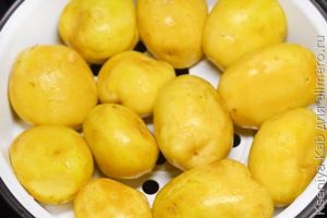 молодая картошка
