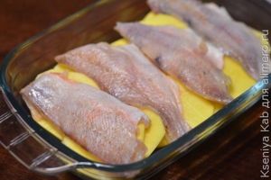 морской окунь