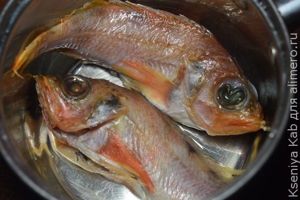 морской окунь морской окунь