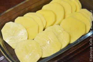 морской окунь