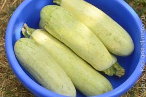 кабачки