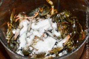 раки