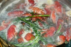 раки