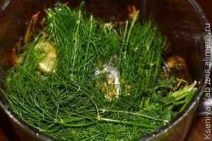раки