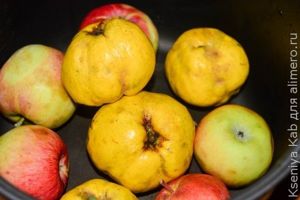 фаршированная утка