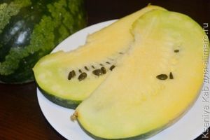 кавбуз