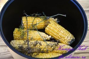 молодая кукуруза