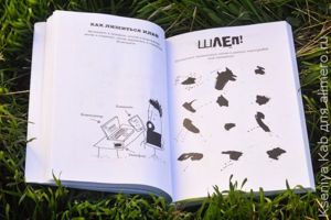 книга гениальных идей