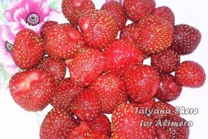 вкусный завтрак рецепт