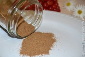грибной порошок рецепт