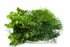 2. Увядшие укроп и петрушка станут вновь свежими, если положить их в воду, слегка разбавленную уксусом. 2. Увядшие укроп и петрушка станут вновь свежими, если положить их в воду, слегка разбавленную уксусом.