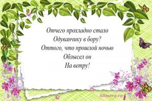 Стихи про цветы для детей