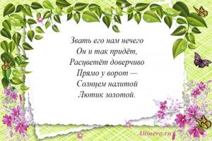 Стихи про цветы для детей