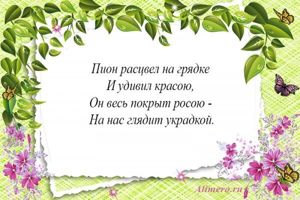 Стихи про цветы для детей
