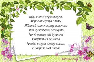 Стихи про цветы для детей