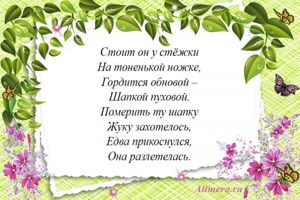 Стихи про цветы для детей