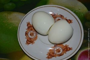Закуска