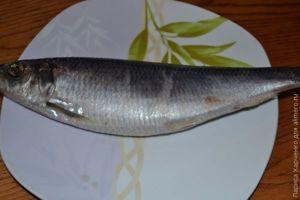 Закуска из сельди в сметанном соусе