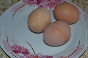 Салат-желе