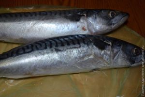 запеченная скумбрия