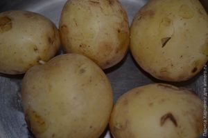 молодой картофель
