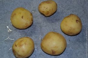 молодой картофель