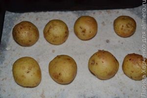молодая картошка