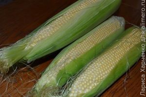 вареная кукуруза