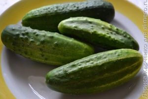 салат из огурцов
