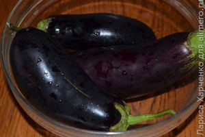 овощная запенка овощная запенка