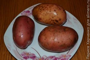 блюдо из картофеля
