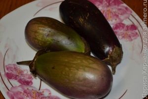 овощной мусс