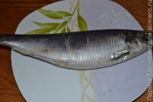 закуска