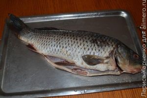 рыба