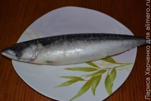 скумбрия