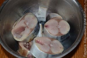 скумбрия