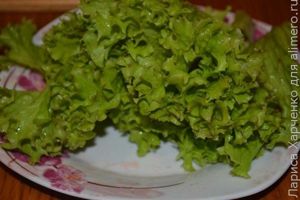 салат