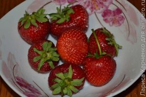салат