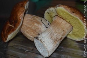 картошка с грибами