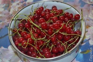 вареники