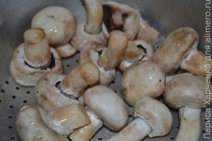 кабачки