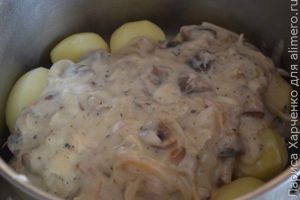 молодая картошка