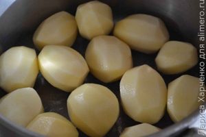 молодая картошка