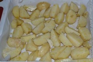 молодая картошка