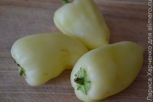салат