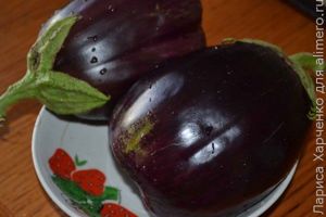 икра из баклажанов